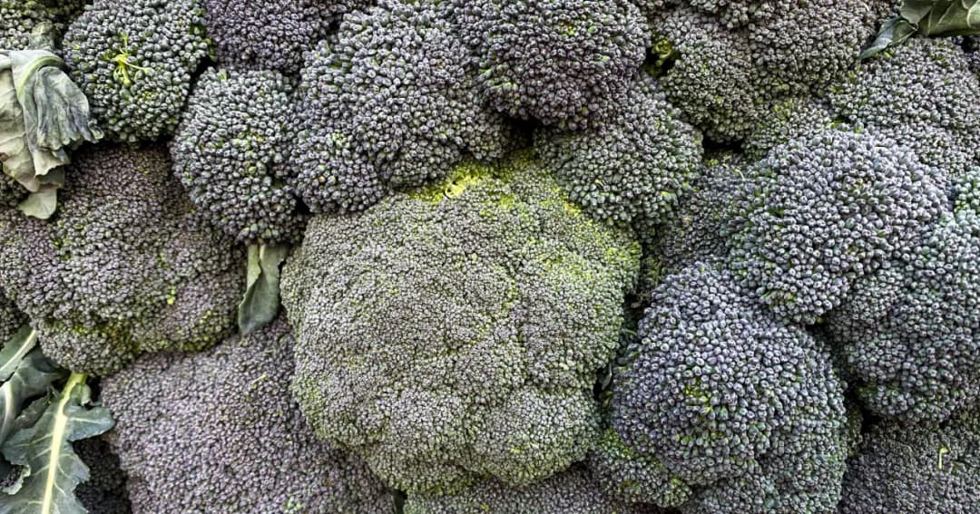 Jak obniżyć podwyższony poziom kwasu moczowego dietą: 8 skutecznych porad