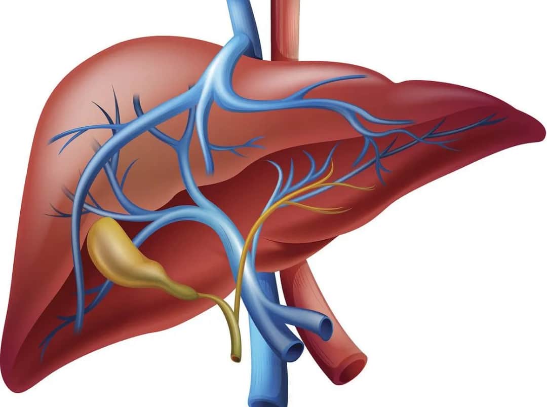 Jaki lekarz leczy naczyniaki wątroby? Kluczowe informacje o specjalistach Jaki lekarz leczy naczyniaki wątroby? Kluczowe informacje o specjalistach