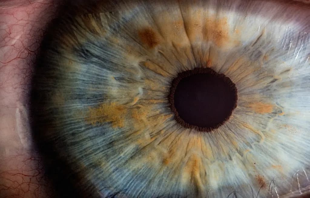 Ślepota zmierzchowa: przyczyny, objawy i skuteczne metody diagnozy