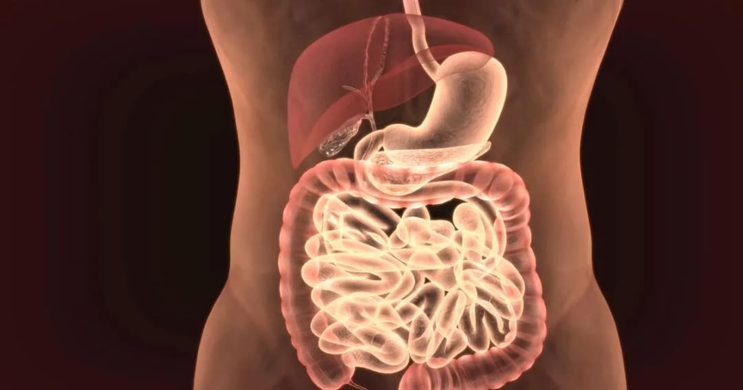 Lek dulcobis na co jest i jak skutecznie go stosować przy zaparciach